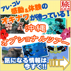����I�v�V���i���c�A�[